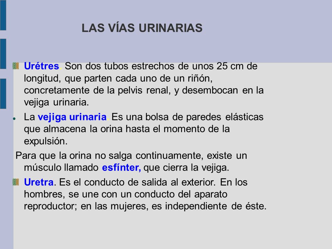Sistemas de Tallas de Calzado Las mujeres entre los 30 a 39 debe ser menor de 21 por ciento, mientras que las mujeres de 40 años deben estar bajo el 24 por ciento para clasificarse como bajo contenido de grasa corporal. Las mujeres de 50 años o más que están a menos de 28 por ciento de grasa corporal se incluyen en la categoría de bajo de grasa corporal.